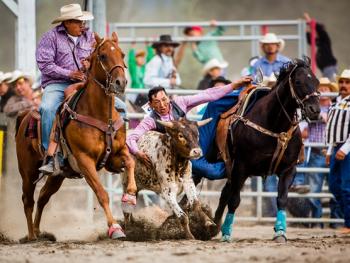 卡尔加里印第安牛仔节